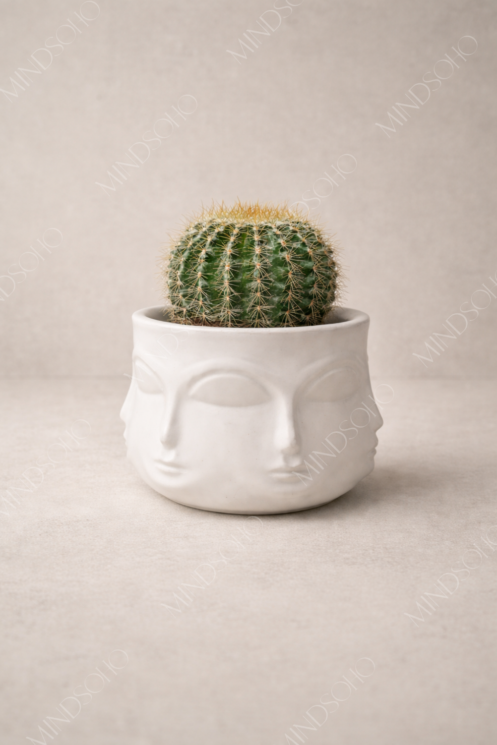 Freya Dekoratif Kaktüs Saksısı